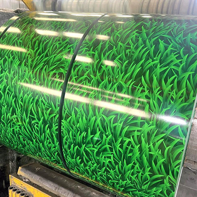 Prime Quality Color Coated Pattern Steel Coil 10-20um Film Coating